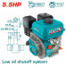 TOTAL ΕΠΑΓΓ. ΚΙΝΗΤΗΡΑΣ ΒΕΝΖΙΝΗΣ 163cc - 5.5HP ΣΦΗΝΑ (TGEN16811) TOTAL ΕΠΑΓΓ. ΚΙΝΗΤΗΡΑΣ ΒΕΝΖΙΝΗΣ 163cc - 5.5HP ΣΦΗΝΑ (TGEN16811)