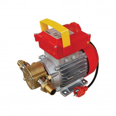 ΗΛΕΚΤΡΑΝΤΛΙΑ ROVER BEG-20 0,8HP  2850RPM | 102127