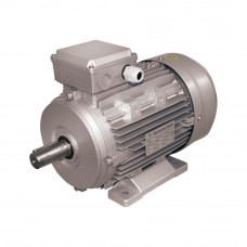 ΗΛΕΚΤΡΟΚΙΝΗΤΗΡΑΣ PLUS 3HP 1400RPM 380V MS 100L1-4 | 207120