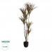 GloboStar® Artificial Garden DRAGON BLOOD TREE 20970 - Τεχνητό Διακοσμητικό Φυτό Δράκαινα Φ60 x Υ140cm GloboStar® Artificial Garden DRAGON BLOOD TREE 20970 - Τεχνητό Διακοσμητικό Φυτό Δράκαινα Φ60 x Υ140cm