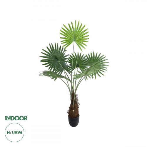 GloboStar® Artificial Garden SERENOA PALM PLANT 20971 Διακοσμητικό Φυτό Φοίνικα Σερενόα Φ60 x Υ140cm GloboStar® Artificial Garden SERENOA PALM PLANT 20971 Διακοσμητικό Φυτό Φοίνικα Σερενόα Φ60 x Υ140cm
