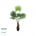 GloboStar® Artificial Garden SERENOA PALM PLANT 20971 Διακοσμητικό Φυτό Φοίνικα Σερενόα Φ60 x Υ140cm GloboStar® Artificial Garden SERENOA PALM PLANT 20971 Διακοσμητικό Φυτό Φοίνικα Σερενόα Φ60 x Υ140cm