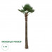 GloboStar® Artificial Garden PLANT PALM TREE 21057 Διακοσμητικό Δέντρο Φοίνικα Φ240 x Υ600cm GloboStar® Artificial Garden PLANT PALM TREE 21057 Διακοσμητικό Δέντρο Φοίνικα Φ240 x Υ600cm