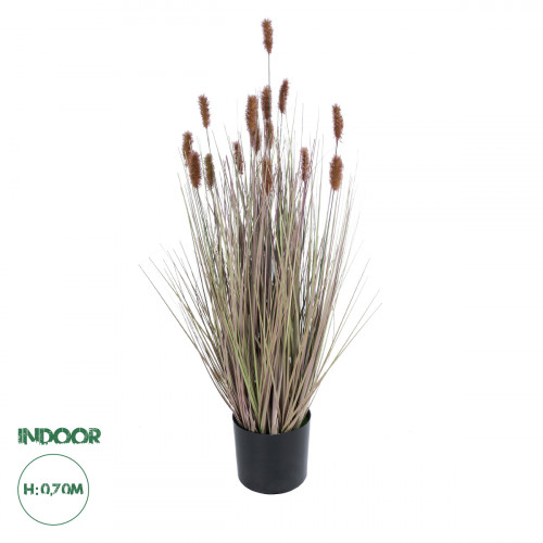 GloboStar® Artificial Garden BROWN LAGURUS 21099 Διακοσμητικό Φυτό Καφέ Λαγοουρά Υ70cm GloboStar® Artificial Garden BROWN LAGURUS 21099 Διακοσμητικό Φυτό Καφέ Λαγοουρά Υ70cm