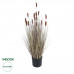 GloboStar® Artificial Garden BROWN LAGURUS 21099 Διακοσμητικό Φυτό Καφέ Λαγοουρά Υ70cm GloboStar® Artificial Garden BROWN LAGURUS 21099 Διακοσμητικό Φυτό Καφέ Λαγοουρά Υ70cm