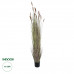 GloboStar® Artificial Garden BROWN LAGURUS 21103 Διακοσμητικό Φυτό Καφέ Λαγοουρά Υ180cm GloboStar® Artificial Garden BROWN LAGURUS 21103 Διακοσμητικό Φυτό Καφέ Λαγοουρά Υ180cm