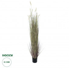 GloboStar® Artificial Garden BEIGE LAGURUS 21104 Διακοσμητικό Φυτό Μπεζ Λαγοουρά Υ180cm