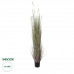 GloboStar® Artificial Garden BEIGE LAGURUS 21104 Διακοσμητικό Φυτό Μπεζ Λαγοουρά Υ180cm GloboStar® Artificial Garden BEIGE LAGURUS 21104 Διακοσμητικό Φυτό Μπεζ Λαγοουρά Υ180cm