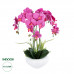 GloboStar® Artificial Garden DARK PINK ORCHID 21123 Διακοσμητικό Φυτό Φούξια Ορχιδέα Υ50cm GloboStar® Artificial Garden DARK PINK ORCHID 21123 Διακοσμητικό Φυτό Φούξια Ορχιδέα Υ50cm