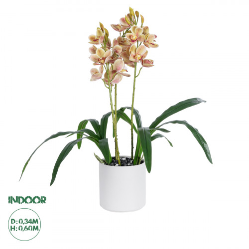 GloboStar® Artificial Garden CHAMPAGNE CHERRY CYMBIDIUM 21404 Διακοσμητικό Φυτό Σαμπανιζέ Κυμβίδιο Υ60cm GloboStar® Artificial Garden CHAMPAGNE CHERRY CYMBIDIUM 21404 Διακοσμητικό Φυτό Σαμπανιζέ Κυμβίδιο Υ60cm